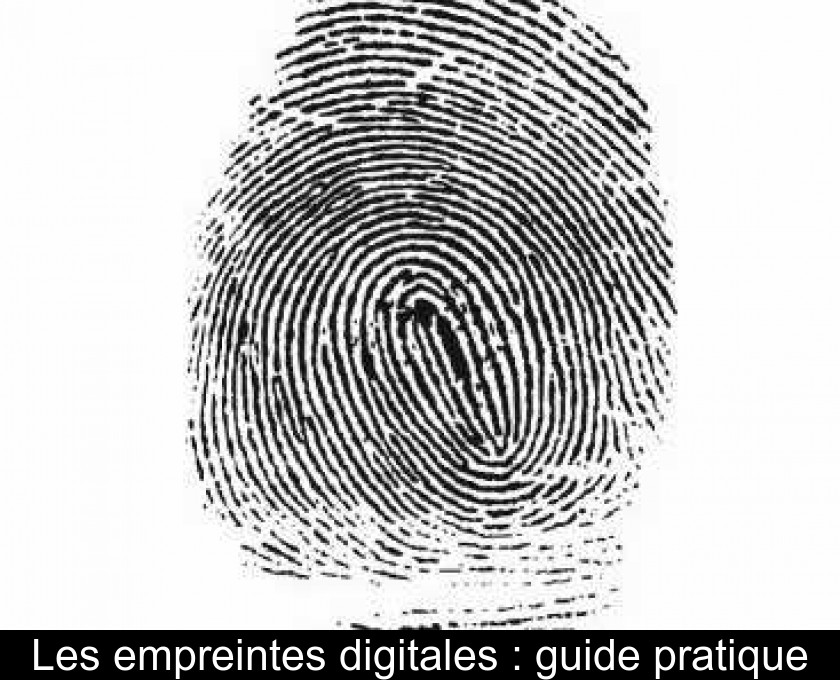 Analyse Des Empreintes Digitales De La Police Judiciaire Preuve