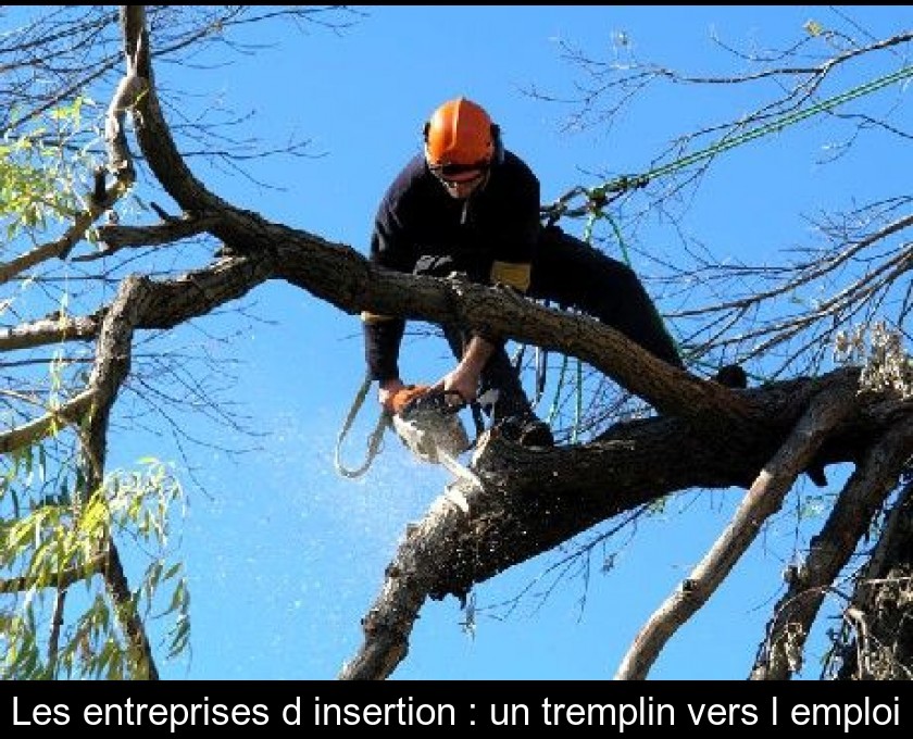 Les entreprises d'insertion : un tremplin vers l'emploi Les entreprises d'insertion : un tremplin vers l'emploi