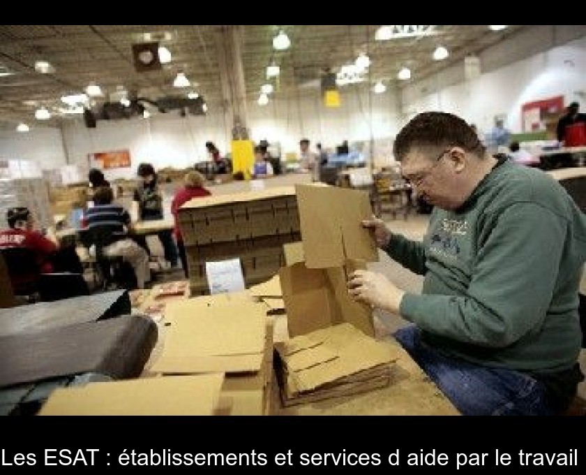 Les ESAT : établissements et services d'aide par le travail Les ESAT : établissements et services d'aide par le travail