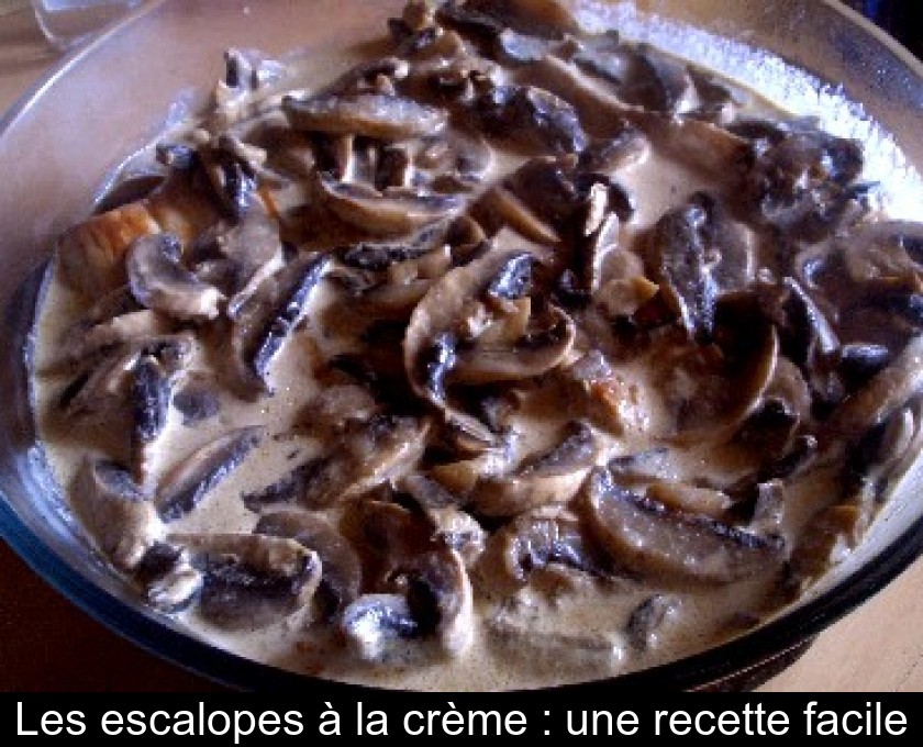 Les escalopes à la crème : une recette facile Les escalopes à la crème : une recette facile