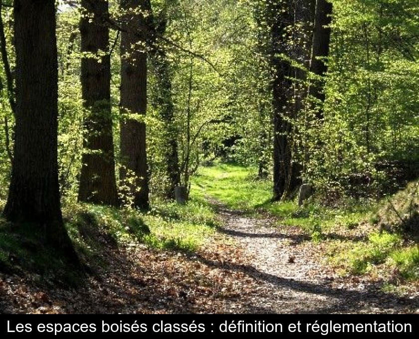 Les espaces boisés classés : définition et réglementation Les espaces boisés classés : définition et réglementation
