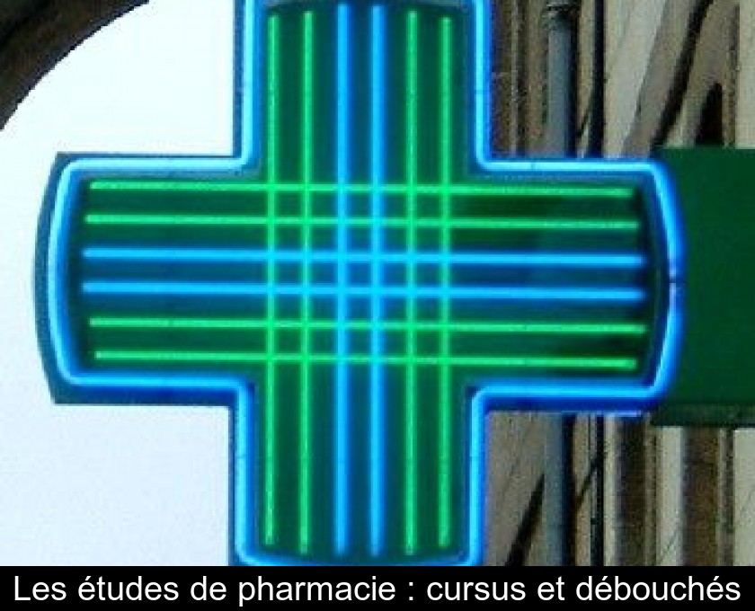 Les études de pharmacie : cursus et débouchés Les études de pharmacie : cursus et débouchés