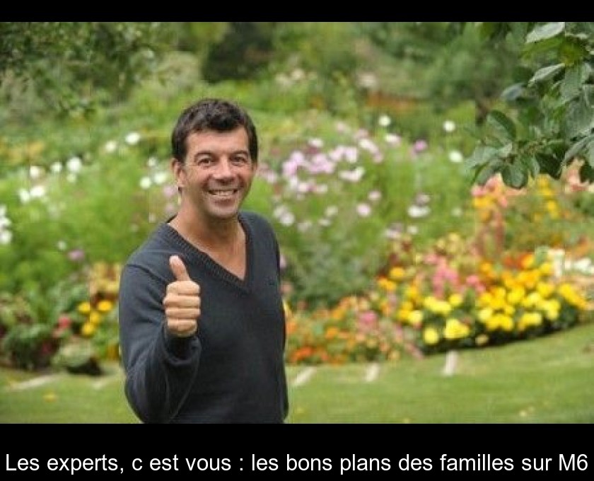 Les experts, c'est vous : les bons plans des familles sur M6