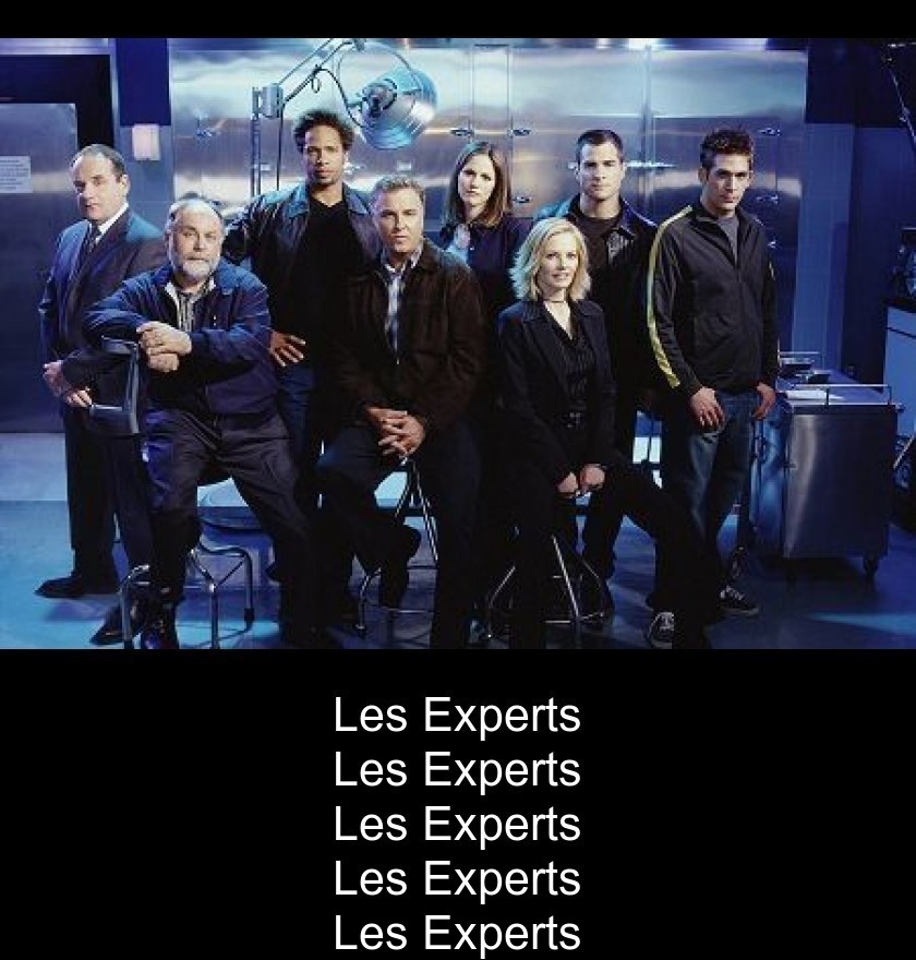 Les Experts Les Experts