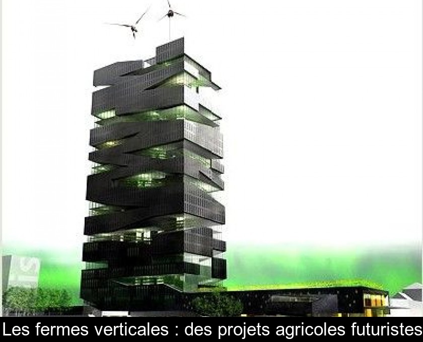 Les fermes verticales : des projets agricoles futuristes Les fermes verticales : des projets agricoles futuristes