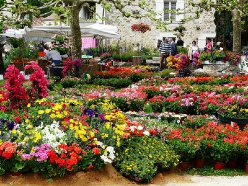 Les Floralies de Saint-Jean-de-Côle : un événement haut en couleurs Les Floralies de Saint-Jean-de-Côle : un événement haut en couleurs