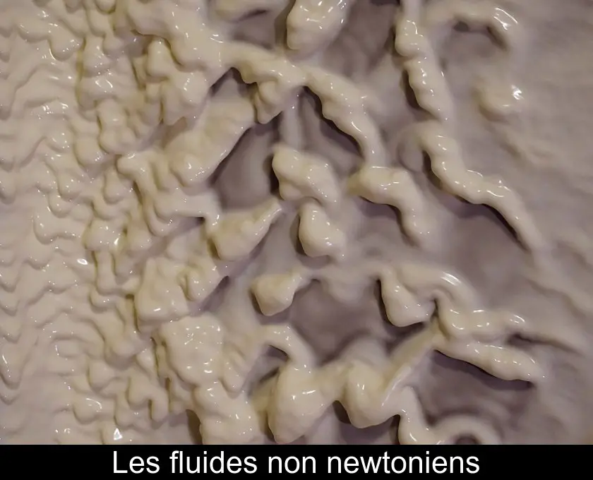 Les fluides non newtoniens