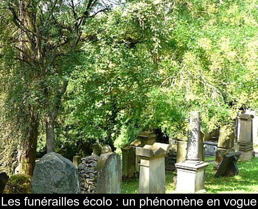 Les funérailles écolo : un phénomène en vogue Les funérailles écolo : un phénomène en vogue