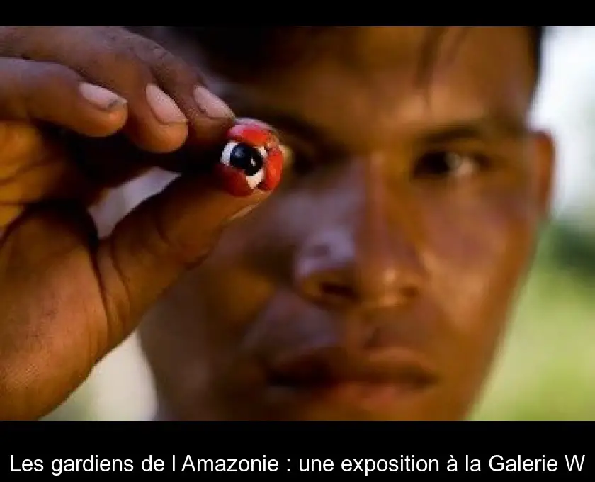 Les gardiens de l'Amazonie : une exposition à la Galerie W