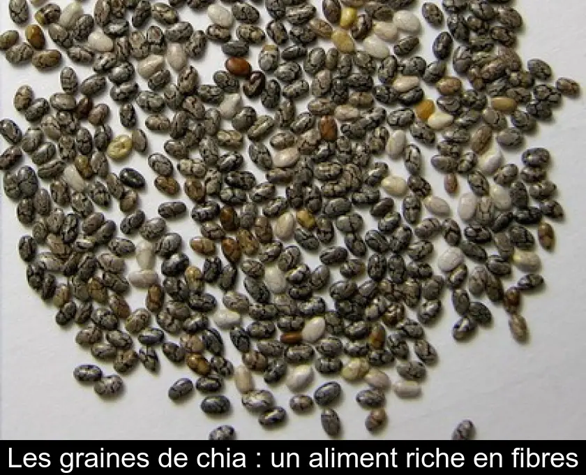 Les graines de chia : un aliment riche en fibres