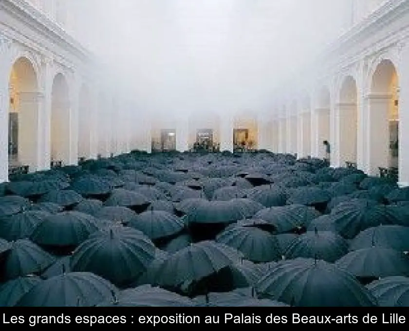 Les grands espaces : exposition au Palais des Beaux-arts de Lille