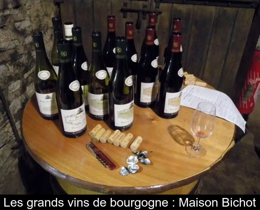 Les grands vins de bourgogne : Maison Bichot