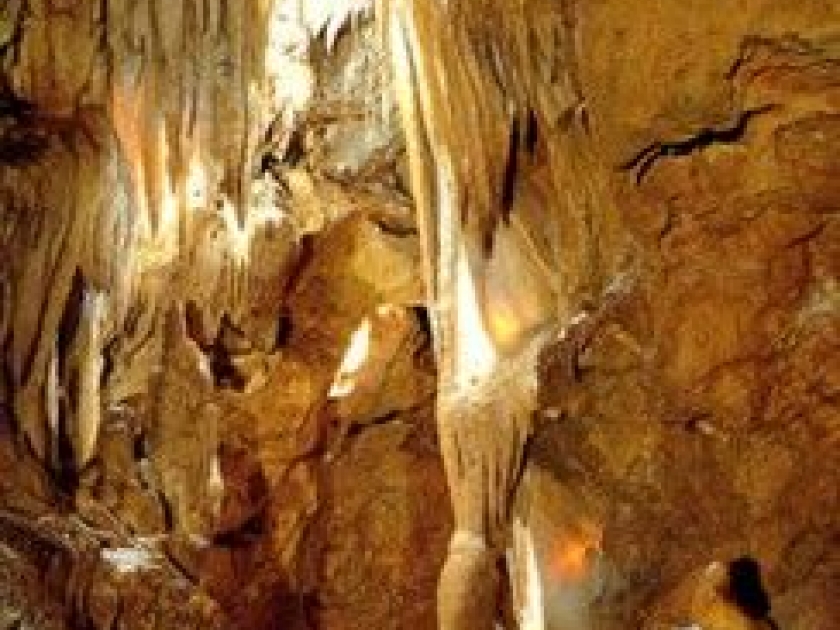 Les grottes de Saint-Cézaire : un monde souterrain à découvrir Les grottes de Saint-Cézaire : un monde souterrain à découvrir