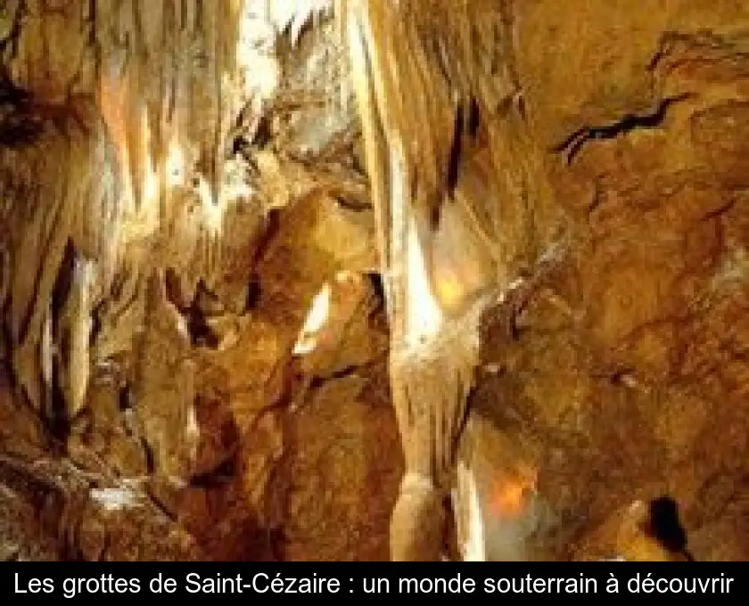 Les grottes de Saint-Cézaire : un monde souterrain à découvrir
