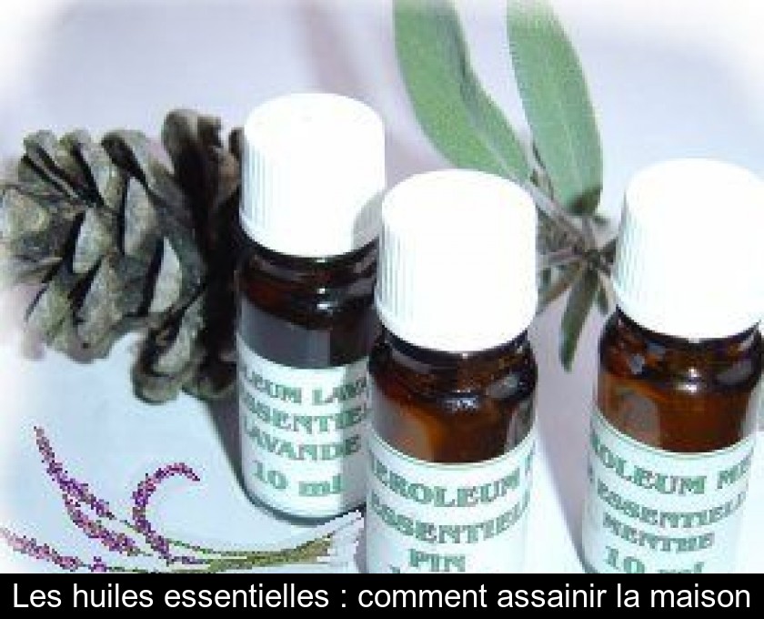 Les huiles essentielles : comment assainir la maison Les huiles essentielles : comment assainir la maison