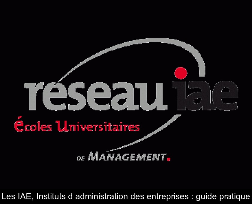 Les IAE, Instituts d'administration des entreprises : guide pratique Les IAE, Instituts d'administration des entreprises : guide pratique
