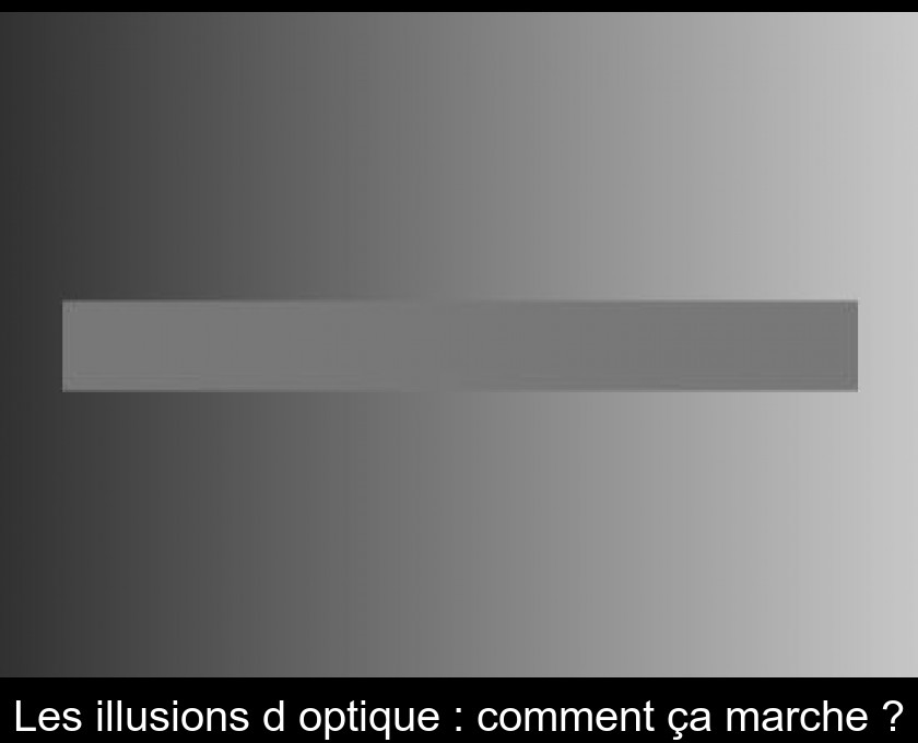 Les illusions d'optique : comment ça marche ? Les illusions d'optique : comment ça marche ?