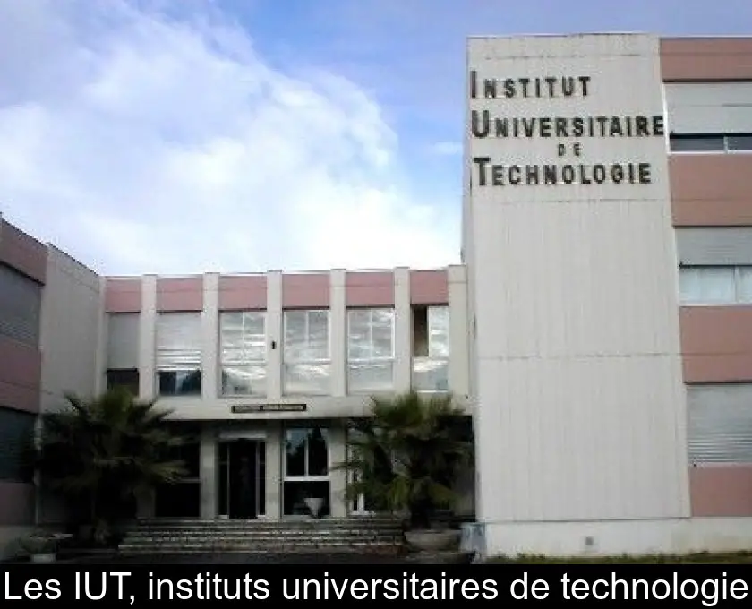 Les IUT, instituts universitaires de technologie