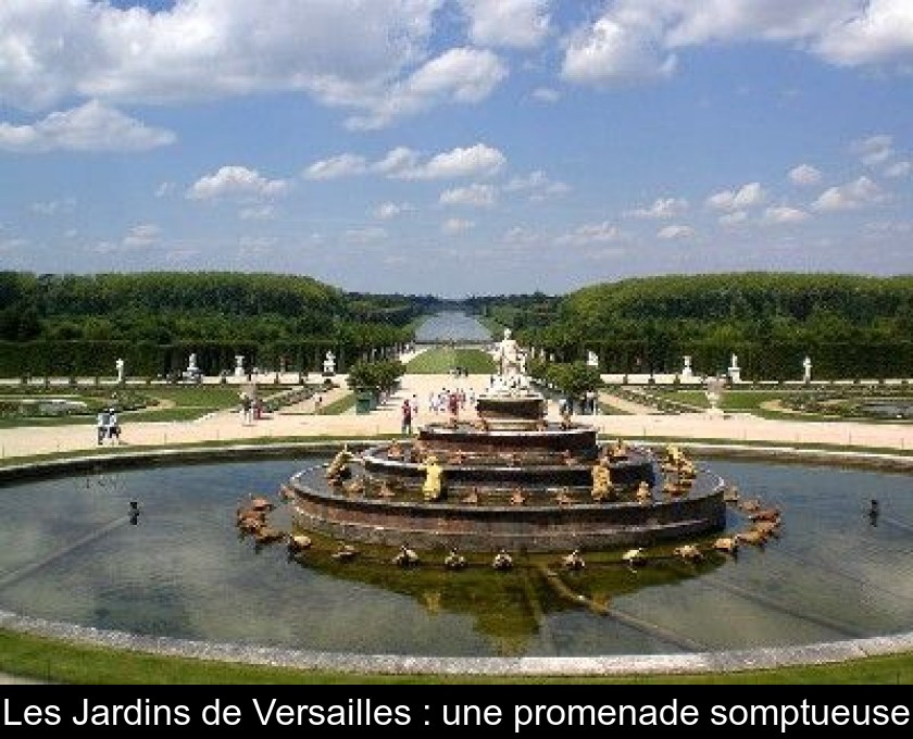 Les Jardins de Versailles : une promenade somptueuse Les Jardins de Versailles : une promenade somptueuse