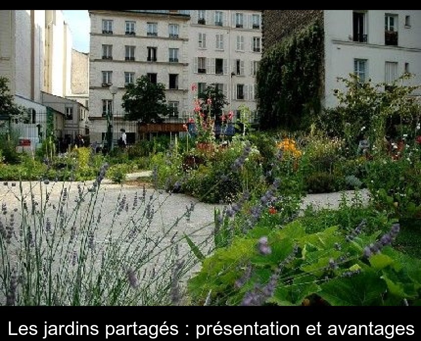 Les jardins partagés : présentation et avantages Les jardins partagés : présentation et avantages