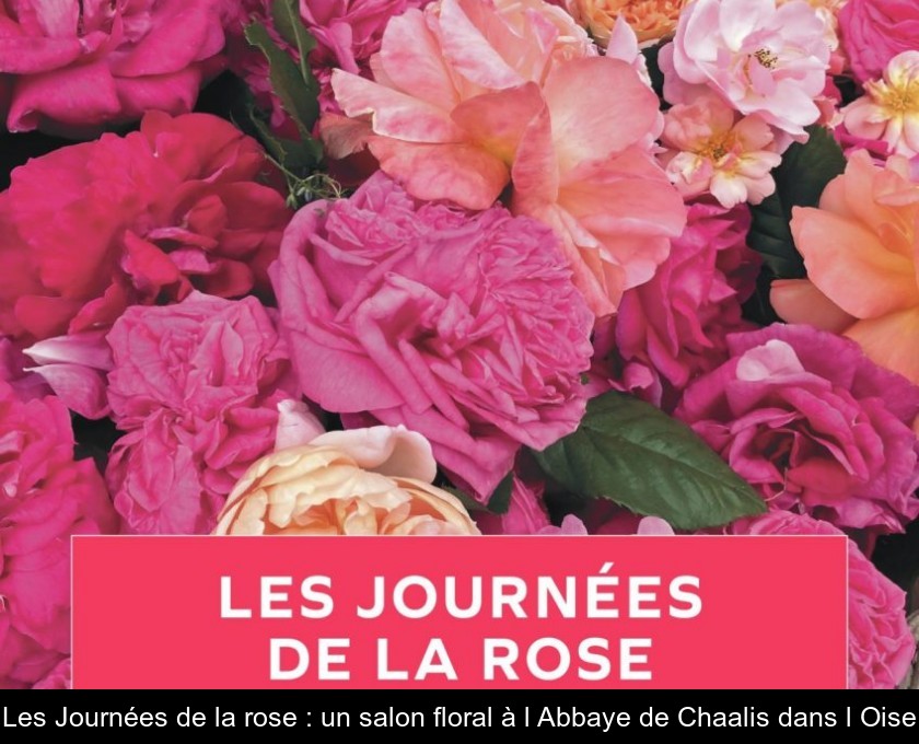 Les Journées de la rose : un salon floral à l'Abbaye de Chaalis dans l'Oise Les Journées de la rose : un salon floral à l'Abbaye de Chaalis dans l'Oise