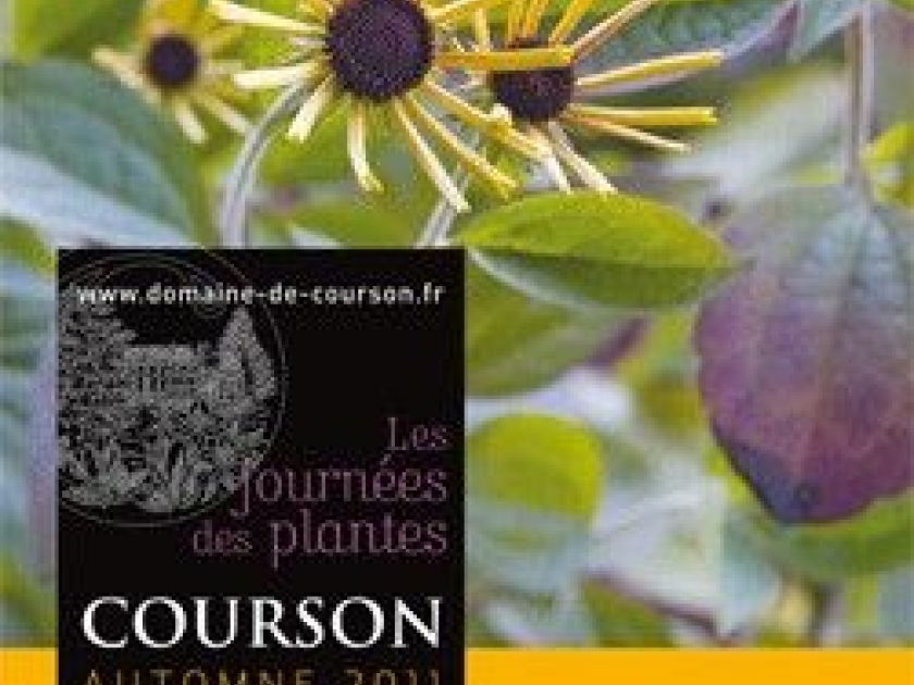 Les Journées des plantes de Courson : le rendez-vous des jardiniers Les Journées des plantes de Courson : le rendez-vous des jardiniers