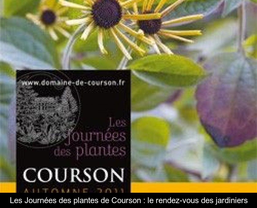 Les Journées des plantes de Courson : le rendez-vous des jardiniers Les Journées des plantes de Courson : le rendez-vous des jardiniers