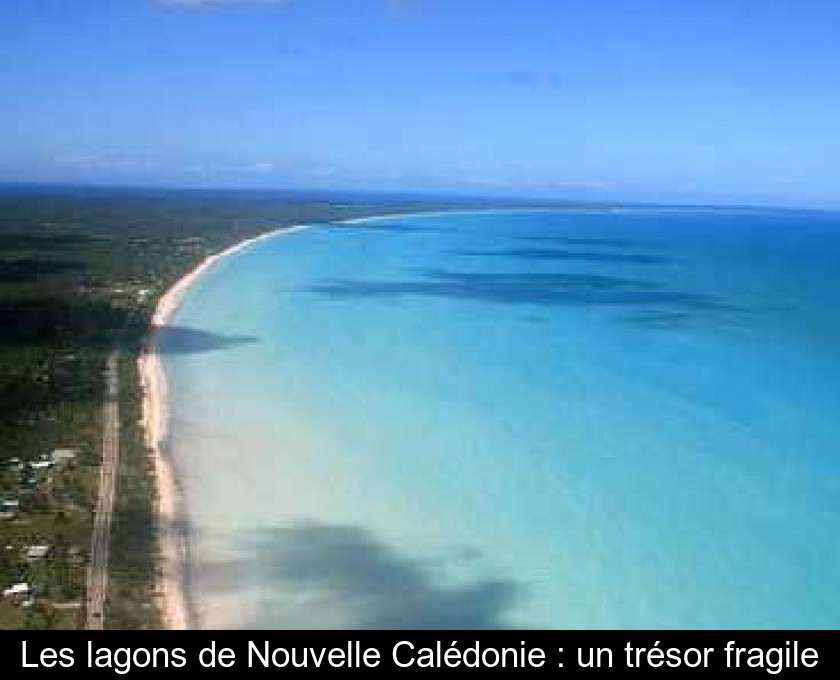 Les lagons de Nouvelle Calédonie : un trésor fragile Les lagons de Nouvelle Calédonie : un trésor fragile