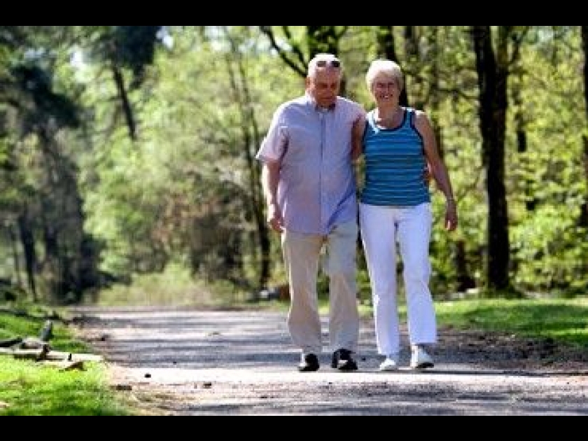 Les maladies cardiovasculaires : présentation et prévention Les maladies cardiovasculaires : présentation et prévention
