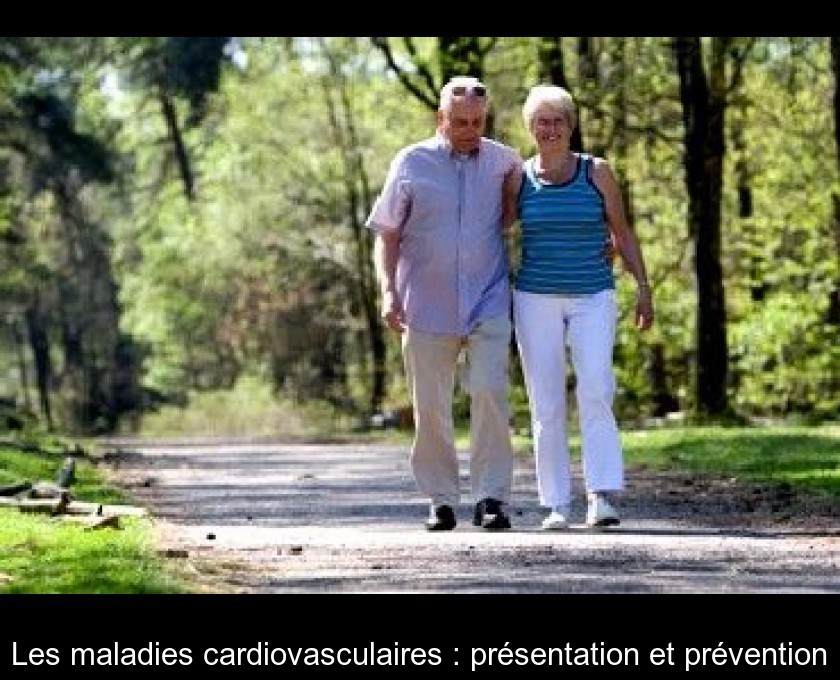 Les maladies cardiovasculaires : présentation et prévention Les maladies cardiovasculaires : présentation et prévention