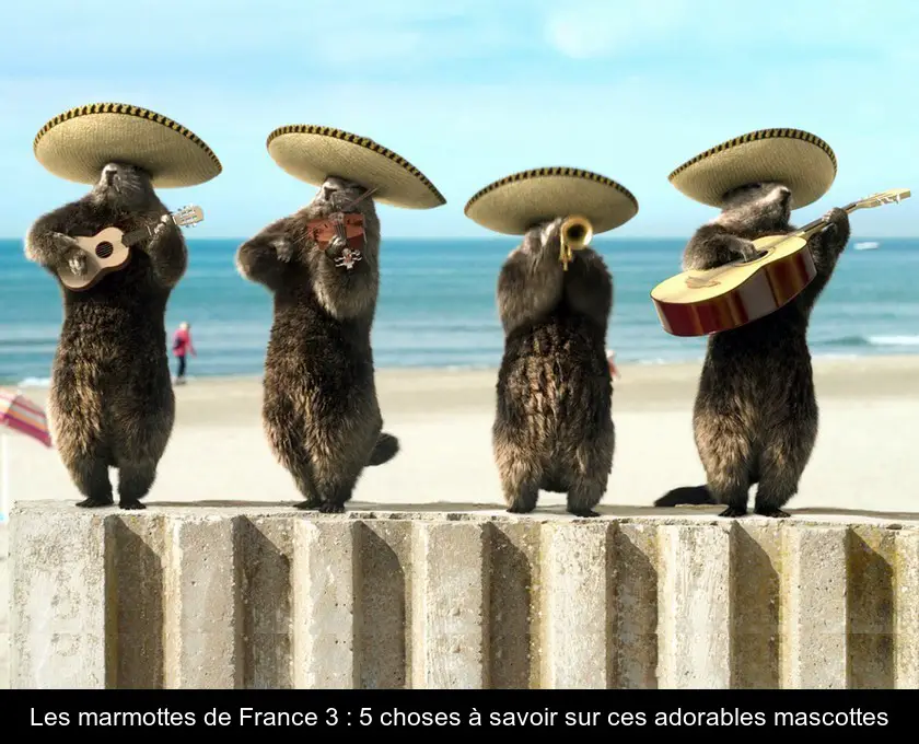 Les marmottes de France 3 : 5 choses à savoir sur ces adorables mascottes