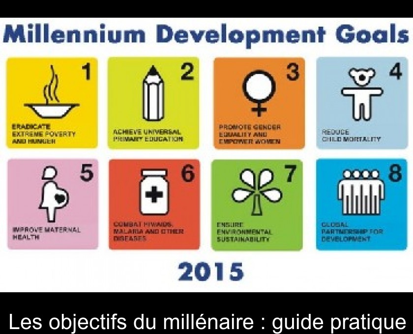 Les objectifs du millénaire : guide pratique Les objectifs du millénaire : guide pratique