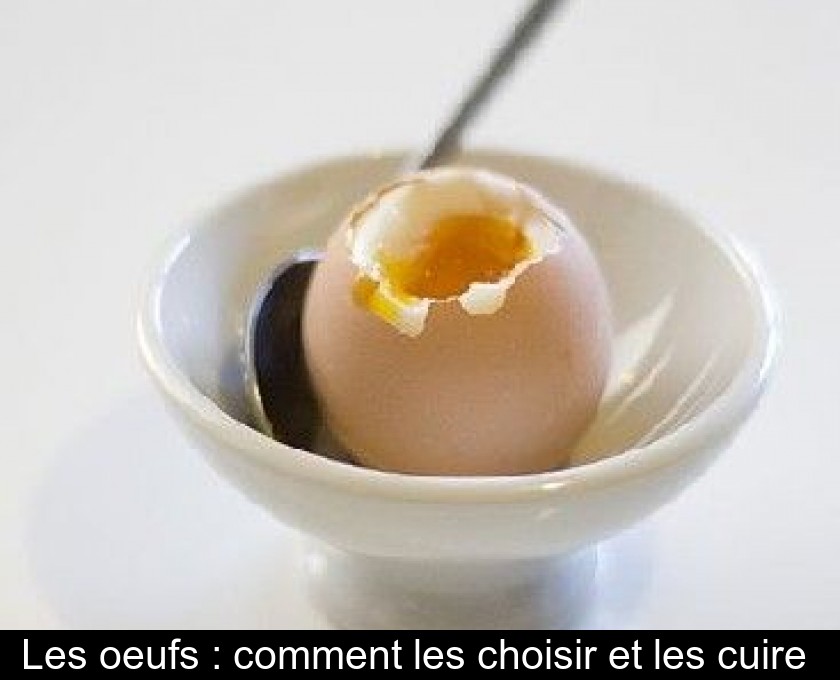 Les oeufs : comment les choisir et les cuire Les oeufs : comment les choisir et les cuire