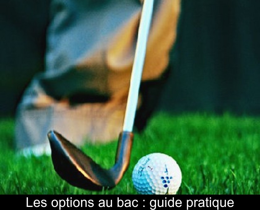 Les options au bac : guide pratique