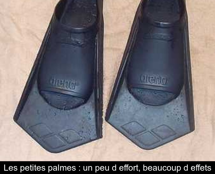 Les petites palmes : un peu d'effort, beaucoup d'effets Les petites palmes : un peu d'effort, beaucoup d'effets