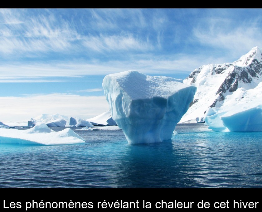 Les phénomènes révélant la chaleur de cet hiver Les phénomènes révélant la chaleur de cet hiver