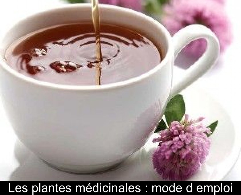 Les plantes médicinales : mode d'emploi Les plantes médicinales : mode d'emploi