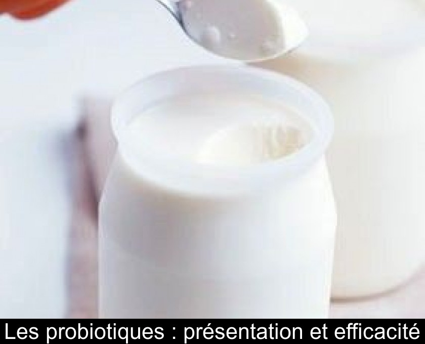 Les probiotiques : présentation et efficacité Les probiotiques : présentation et efficacité