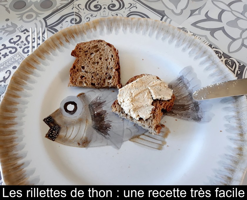 Les rillettes de thon : une recette très facile Les rillettes de thon : une recette très facile