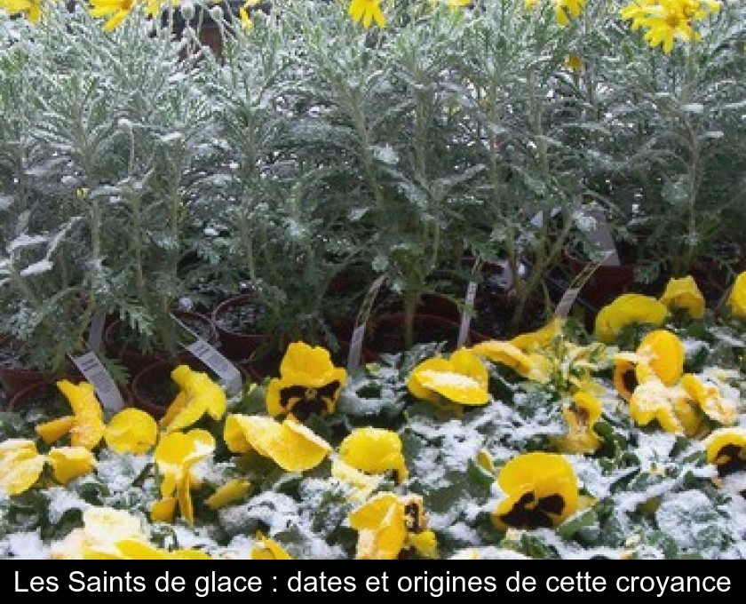 Les Saints de glace : dates et origines de cette croyance