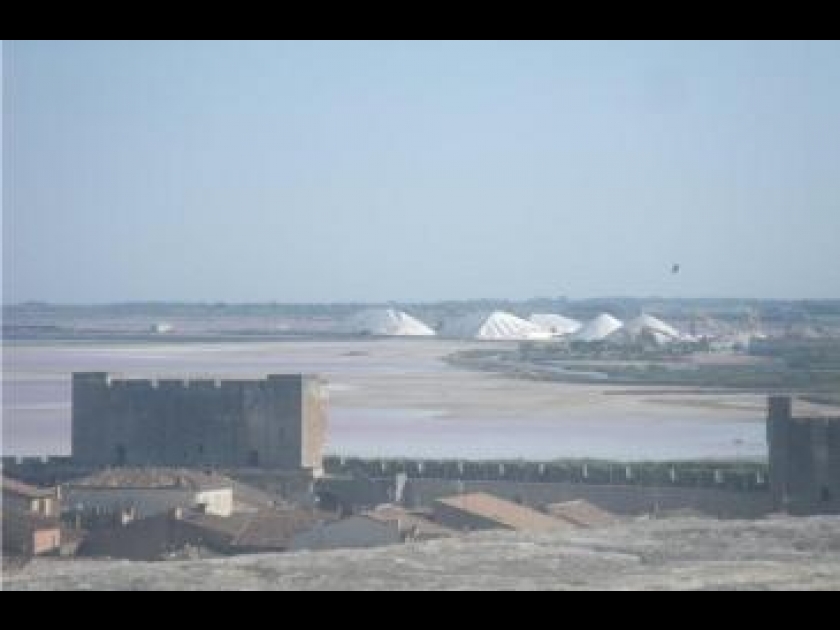 Les Salins du Midi : plus de 150 ans de production de sel Les Salins du Midi : plus de 150 ans de production de sel