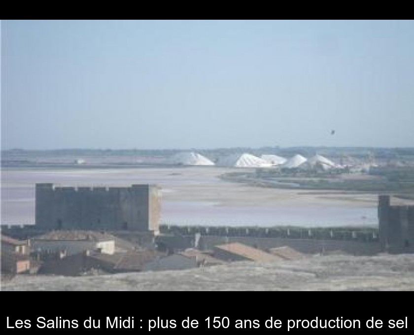 Les Salins du Midi : plus de 150 ans de production de sel