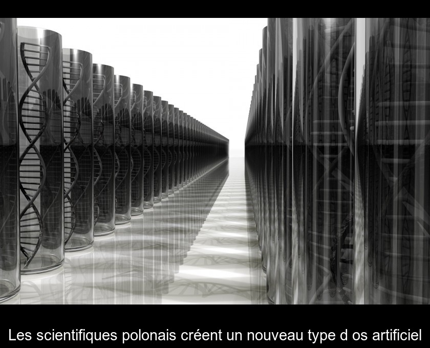 Les scientifiques polonais créent un nouveau type d'os artificiel Les scientifiques polonais créent un nouveau type d'os artificiel