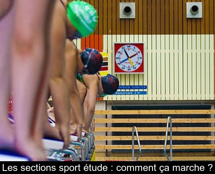 Les sections sport étude : comment ça marche ? Les sections sport étude : comment ça marche ?