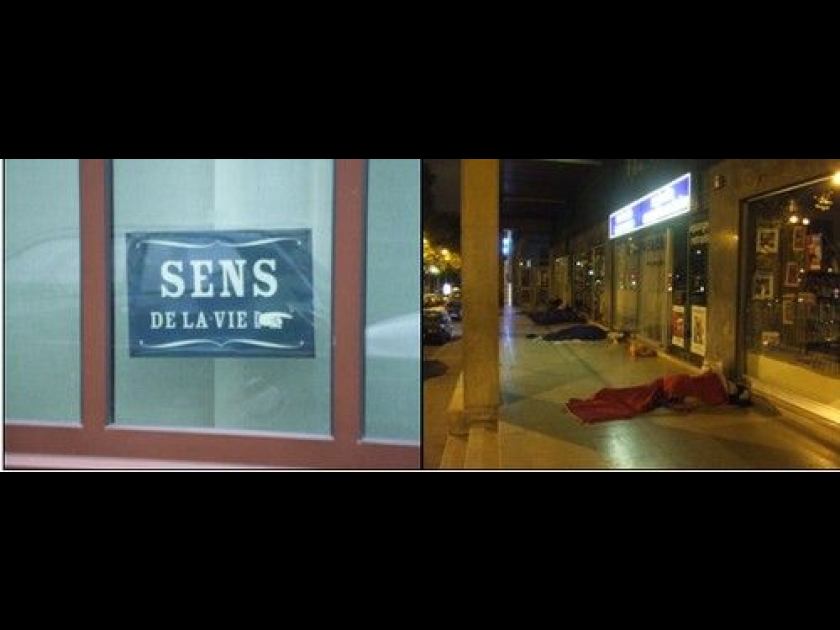 LE(S) SENS DE LA VIE LE(S) SENS DE LA VIE
