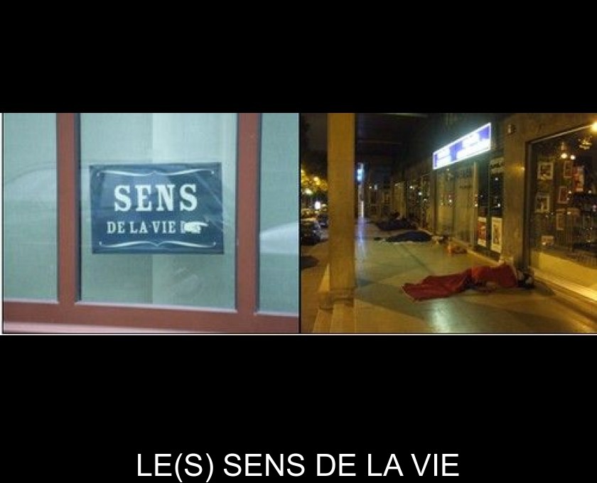 LE(S) SENS DE LA VIE LE(S) SENS DE LA VIE