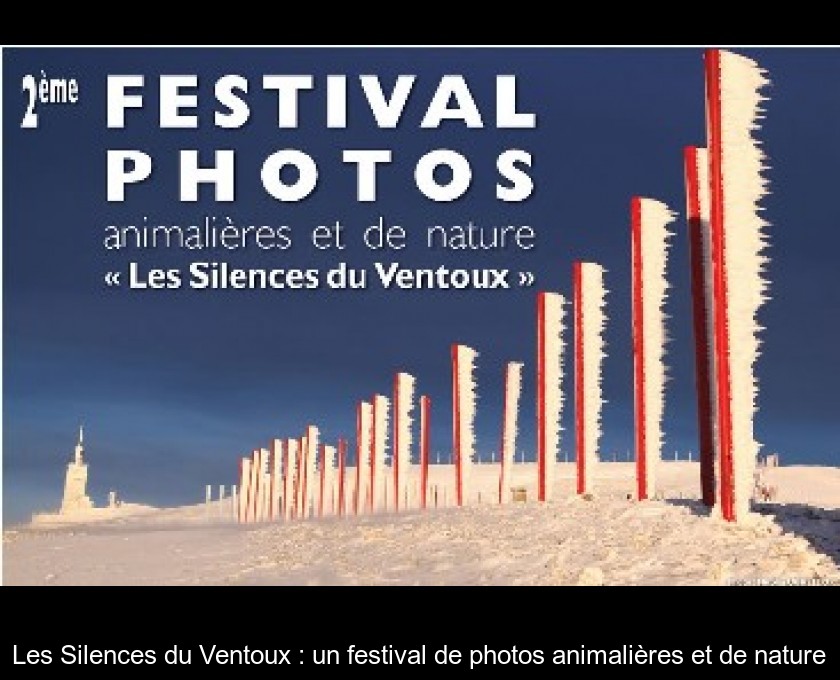 Les Silences du Ventoux : un festival de photos animalières et de nature Les Silences du Ventoux : un festival de photos animalières et de nature