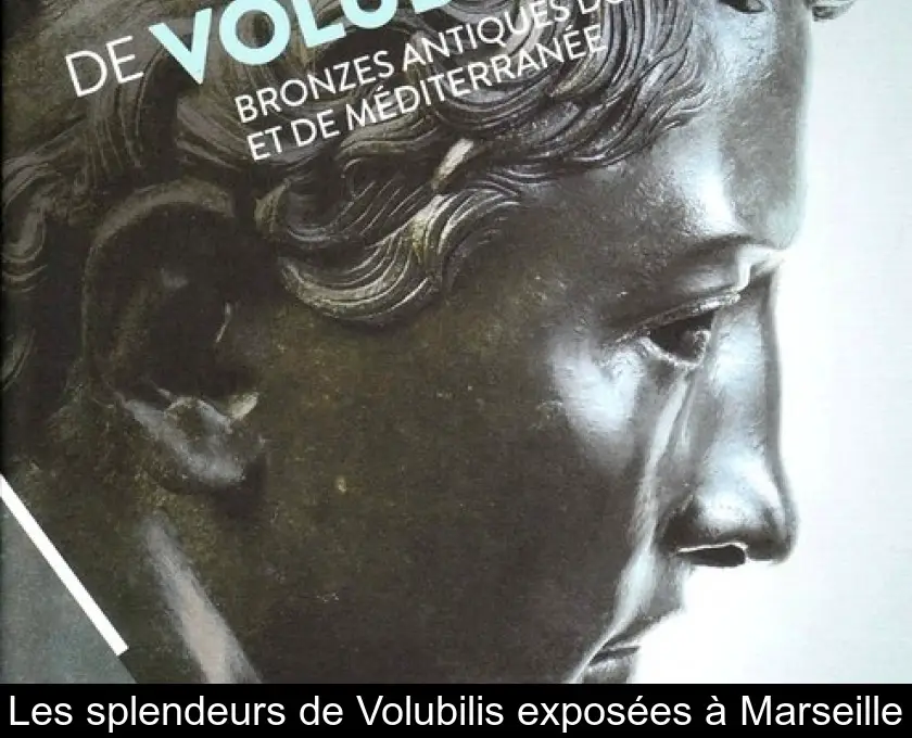 Les splendeurs de Volubilis exposées à Marseille