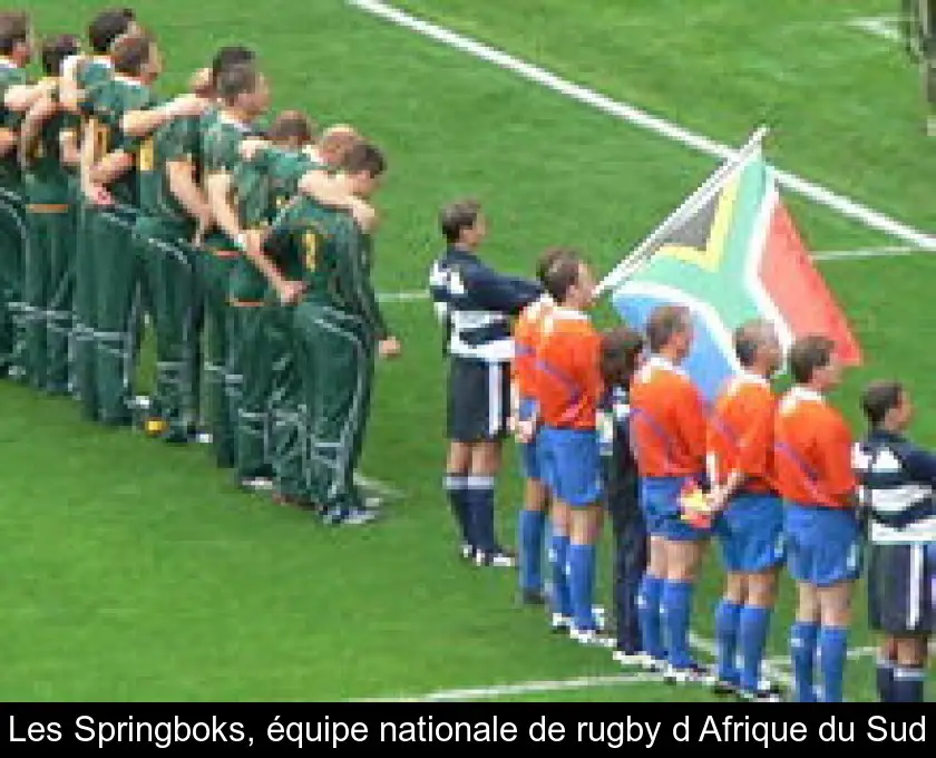 Les Springboks, équipe nationale de rugby d'Afrique du Sud