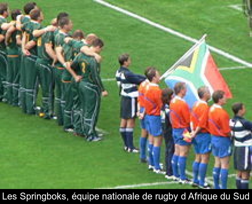 Les Springboks, équipe nationale de rugby d'Afrique du Sud Les Springboks, équipe nationale de rugby d'Afrique du Sud